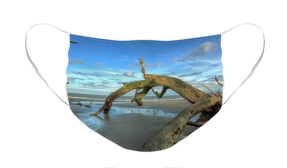Beach Face Mask featuring the photograph Driftwood Beach #5 by Carolyn Hutchins