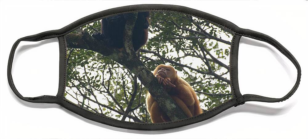 Animals Face Mask featuring the digital art Howler Monkeys #3 by Carol Ailles