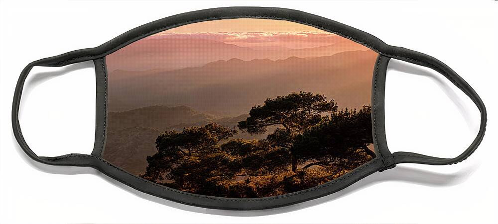 Dawn Face Mask featuring the photograph Silhouette of a forest pine tree during blue hour with bright sun at sunset. by Michalakis Ppalis