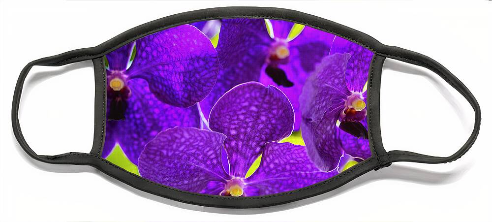 Background Face Mask featuring the photograph Purple Orchid Flowers #35 by Raul Rodriguez
