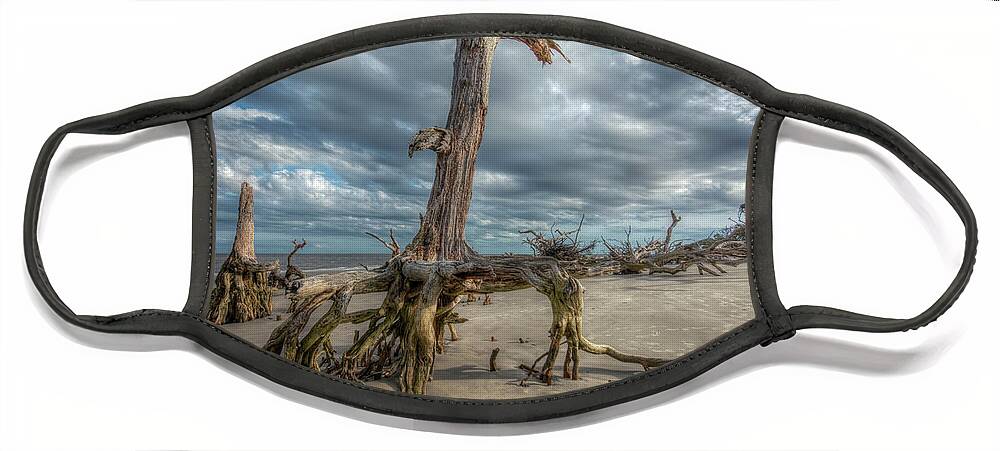 Beach Face Mask featuring the photograph Driftwood Beach by Carolyn Hutchins
