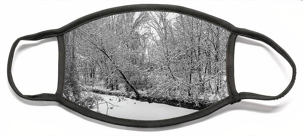 Winter Face Mask featuring the photograph Trees in Winter's Snow #4 by Alan Goldberg