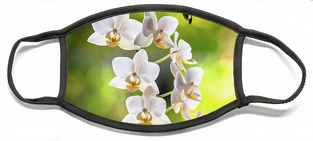 Background Face Mask featuring the photograph White Orchid Flowers #4 by Raul Rodriguez
