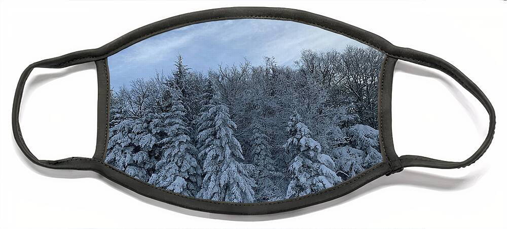  Face Mask featuring the photograph Winter Wonderland by Annamaria Frost