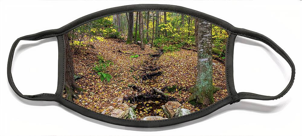 2018 Face Mask featuring the photograph Appalachian Autumn by Stef Ko