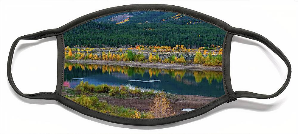 Co Face Mask featuring the photograph Aspens by Doug Wittrock