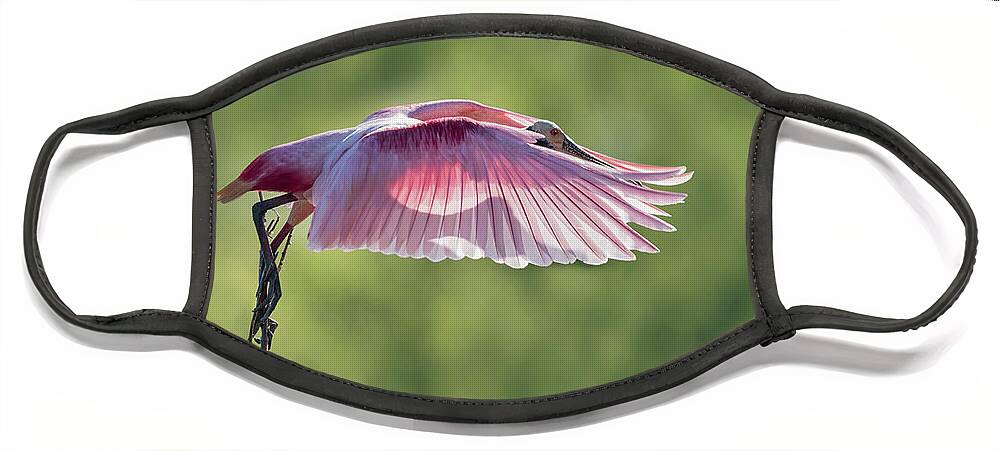Www.fstop.com Face Mask featuring the photograph Shadow on my Pink Feathers by Puttaswamy Ravishankar