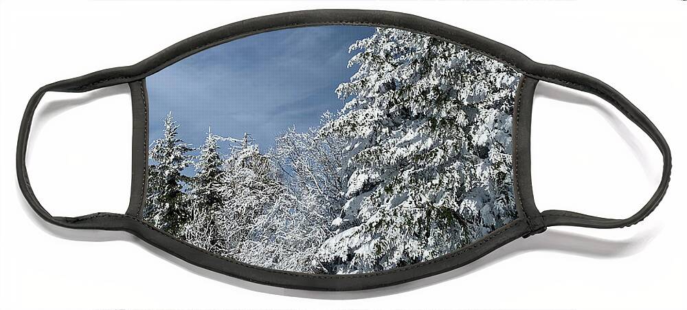  Face Mask featuring the photograph Winter Wonderland by Annamaria Frost
