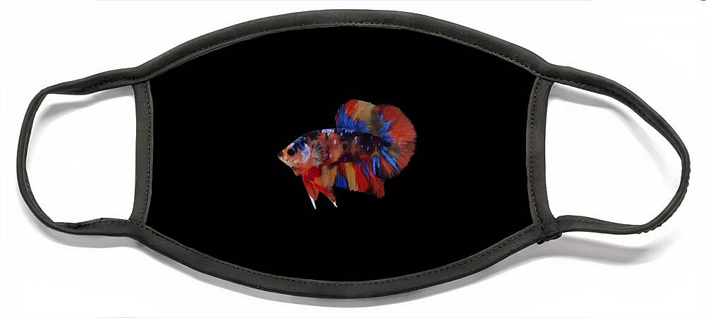 Betta Face Mask featuring the photograph Multicolor Betta Fish by Sambel Pedes