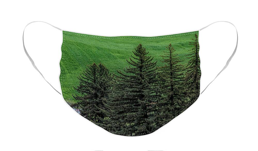 Landscape Face Mask featuring the photograph A Barn In The Trees by Pamela Dunn-Parrish