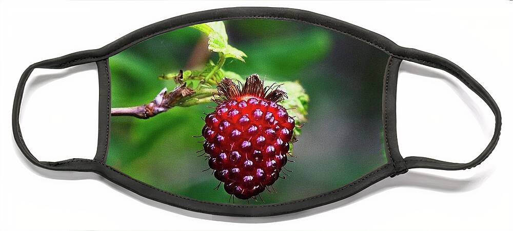 Alone Face Mask featuring the photograph A Berry Red Berry by David Desautel
