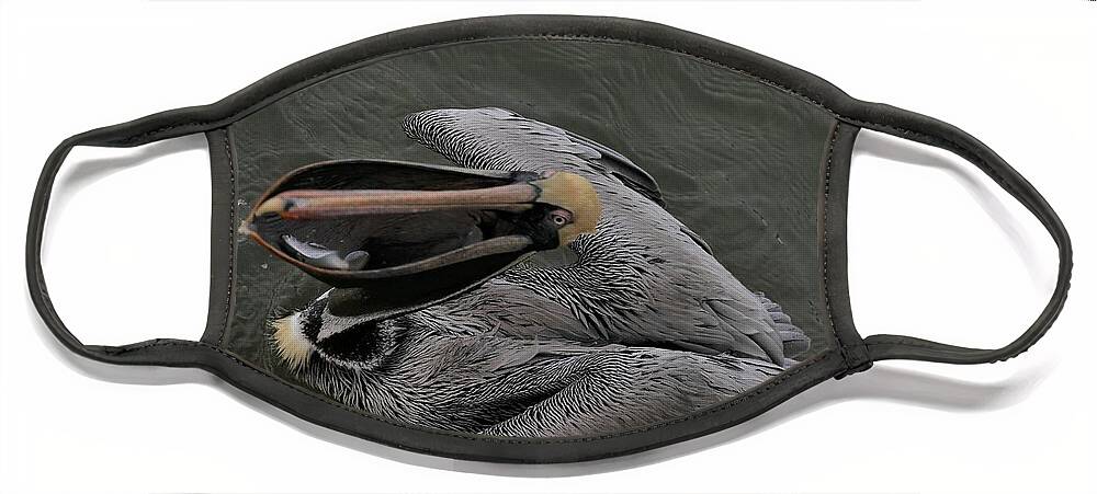 Pelicans Face Mask featuring the photograph A Catch of Three Fish by Mingming Jiang
