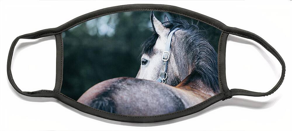 Horse Face Mask featuring the photograph A close-up portrait of horse profile in nature by Dimitar Hristov