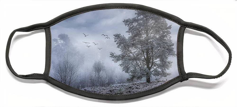 Fog Face Mask featuring the photograph A-Foggy-Day by Chris Boulton