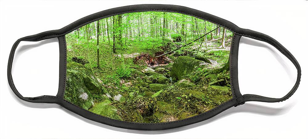 Piedmont National Wildlife Refuge Face Mask featuring the photograph A Green Forest Interlude by Ed Williams