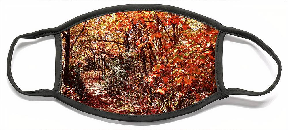 Landscape Face Mask featuring the photograph A Hike in The Fall Woods by Sharon Williams Eng