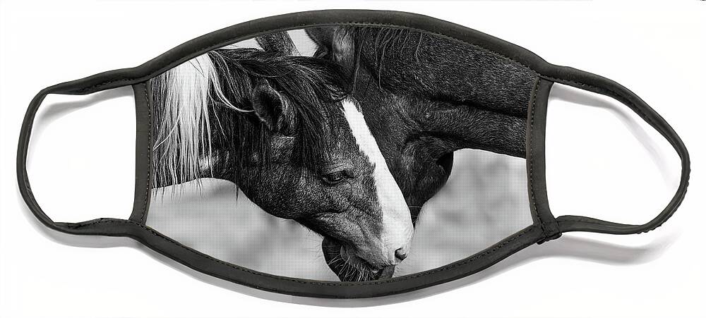 Wild Horses Face Mask featuring the photograph A little Tenderness by Mary Hone