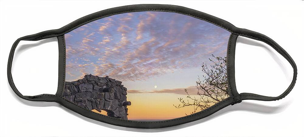 Oregon Face Mask featuring the photograph A Lookout to the Sea by Darren White