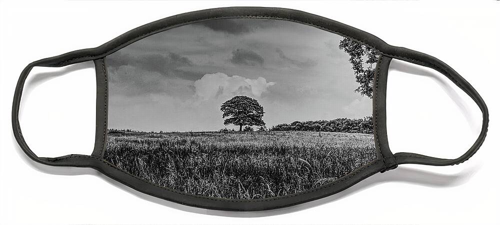 Manchester Face Mask featuring the photograph A monochrome tree taken in Hopwood Woods Nature Reserve Manchester UK by Pics By Tony