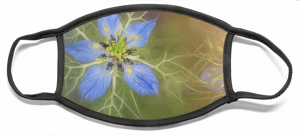 Nigella Face Mask featuring the photograph A Nigella in Nature by Sylvia Goldkranz