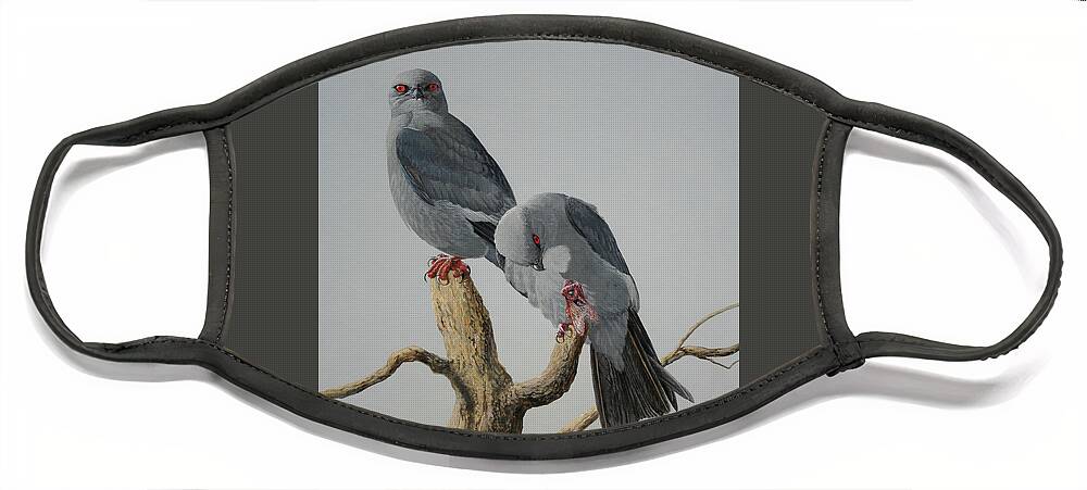 Barry Kent Mackay Face Mask featuring the painting A Pair of Mississippi Kites by Barry Kent MacKay
