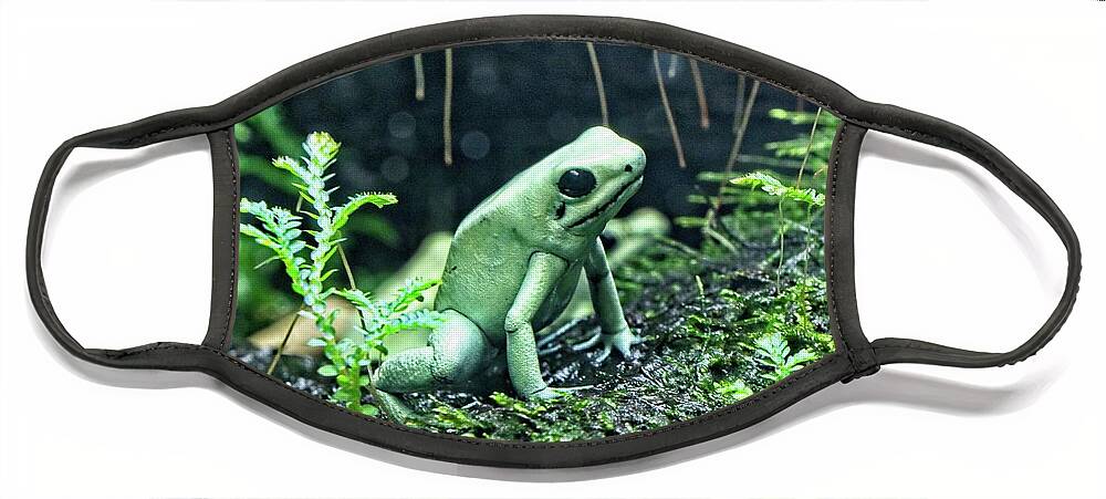 Leaf Face Mask featuring the photograph A Pale Green Frog by Loren Gilbert