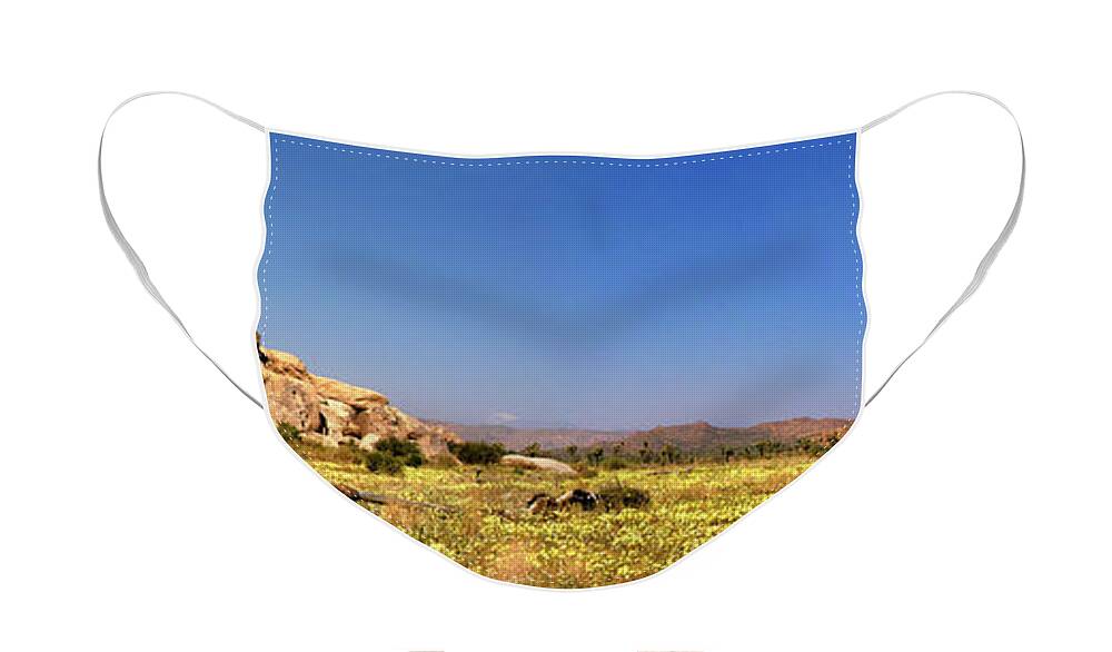 Background Face Mask featuring the photograph A panoramic Joshua Tree National Park with a carpet of yellow flowers by Gunther Allen