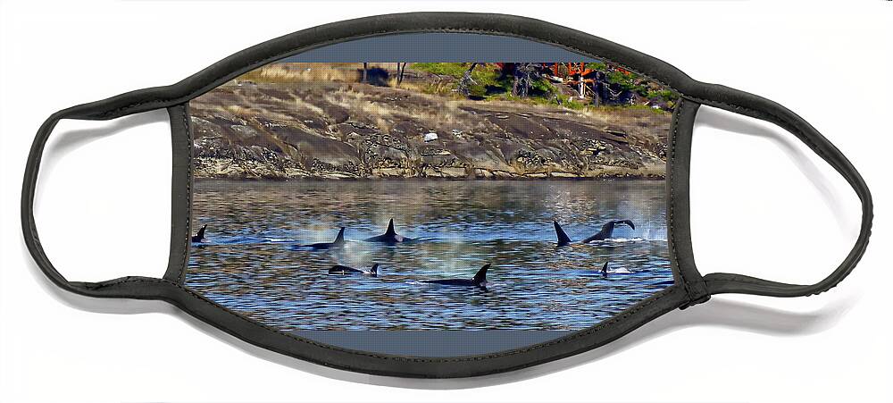 Orca Face Mask featuring the photograph A Pod of Orcas by Rick Lawler