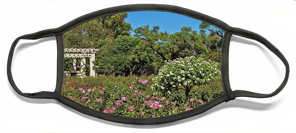 Roses Face Mask featuring the photograph A Rosegarden by Robert McKinstry