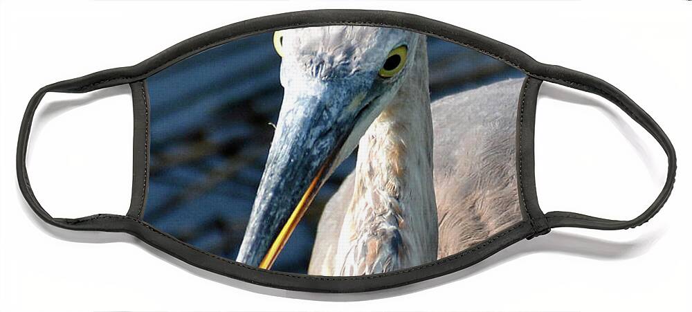 Birds Face Mask featuring the photograph A Second Before the Gulp by Bruce Gourley