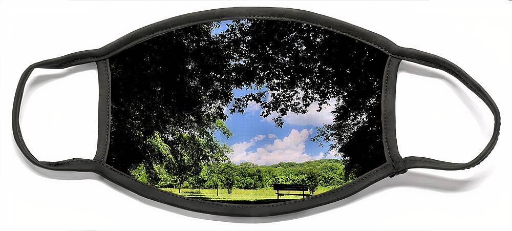 Bench Face Mask featuring the photograph A Shady Resting Spot by George Taylor