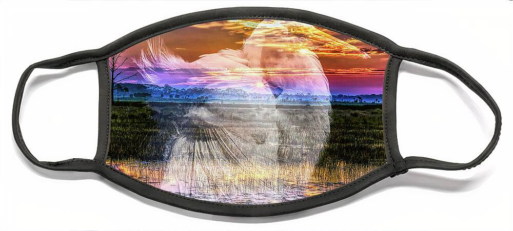 Sunrises Face Mask featuring the photograph A Spiritual Sunrise by DB Hayes