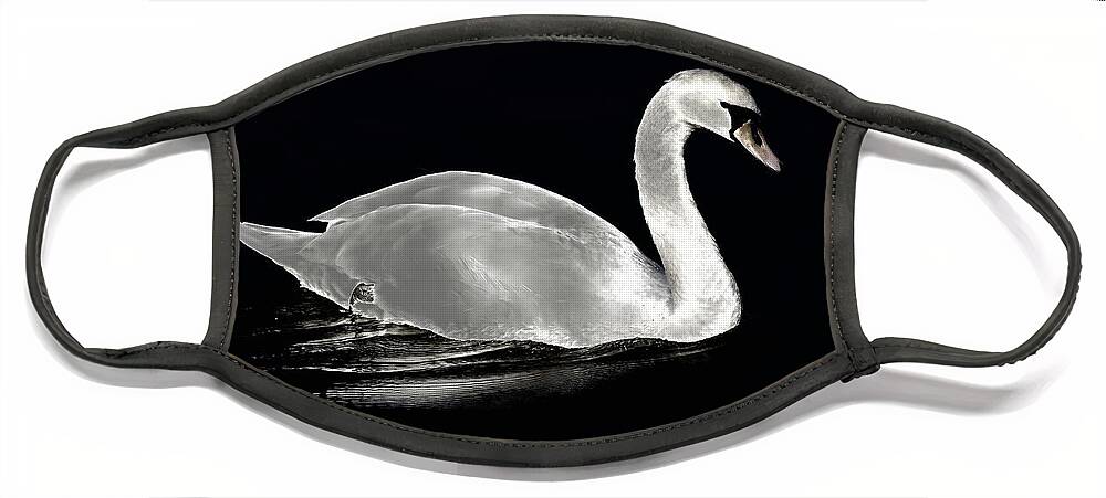 Lake Face Mask featuring the photograph A swan at night on the lake by Jordi Carrio Jamila