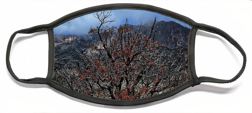 Tree Face Mask featuring the photograph A Tree in the Canyon by George Taylor