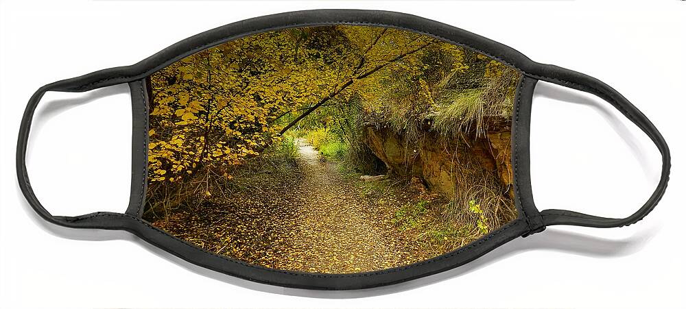 Autumnal Face Mask featuring the photograph A True Autumn Day by Laura Putman