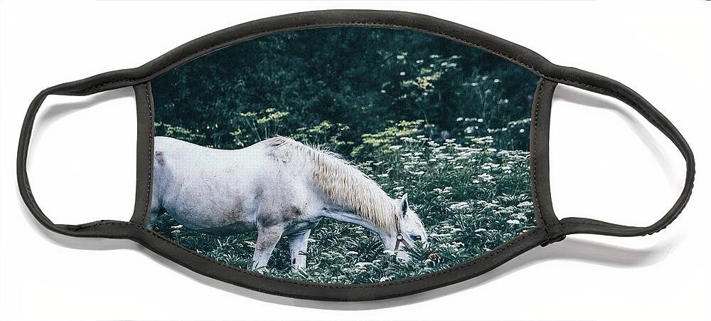 Horse Face Mask featuring the photograph A white horse grazes on a meadow by Dimitar Hristov