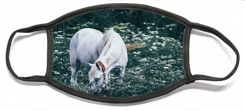 Horse Face Mask featuring the photograph A white horse grazes on a meadow II by Dimitar Hristov