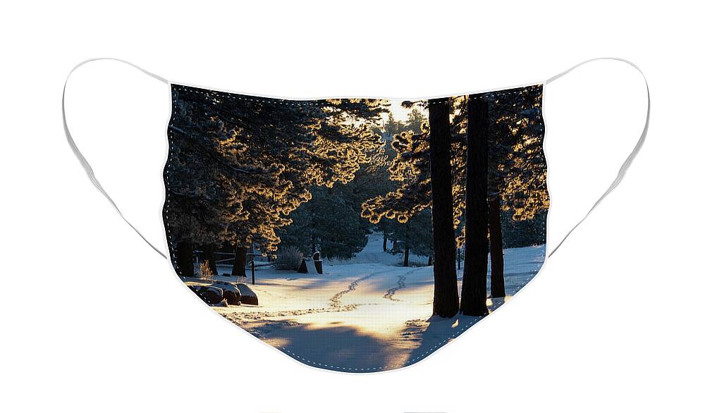 Winter Face Mask featuring the photograph A Winter Sunrise Walk Through the Snow by Cascade Colors