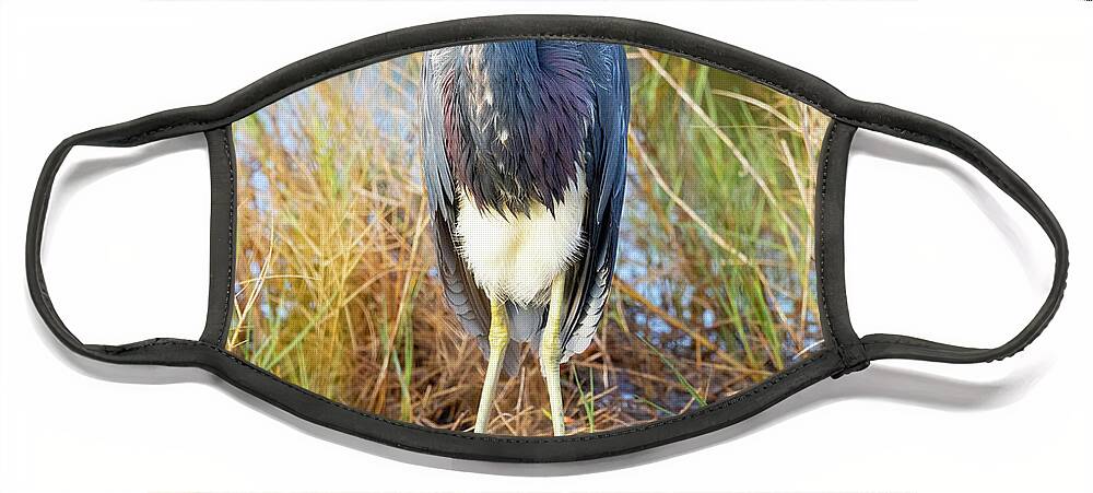 R5-2607 Face Mask featuring the photograph A young blue heron by Gordon Elwell