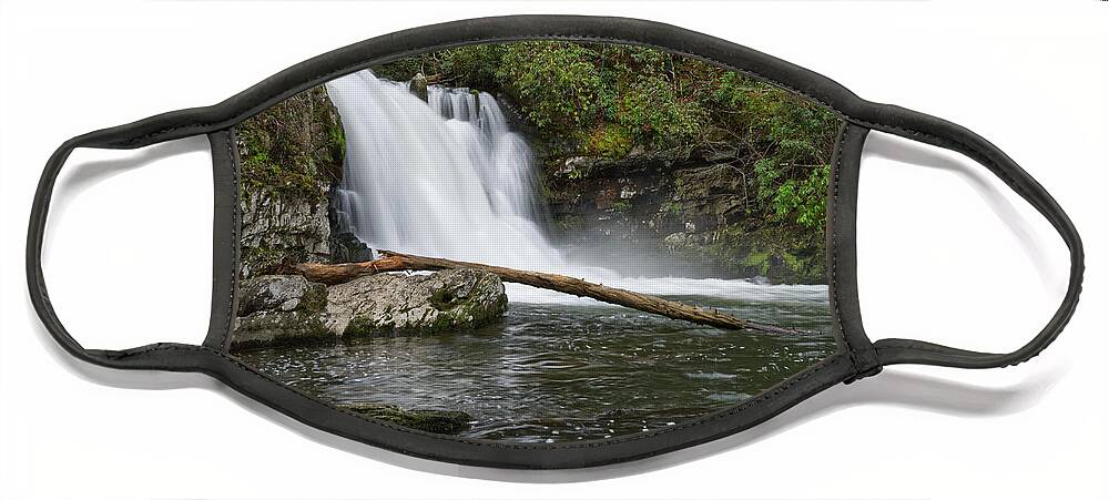 Abrams Falls Face Mask featuring the photograph Abrams Falls 12 by Phil Perkins