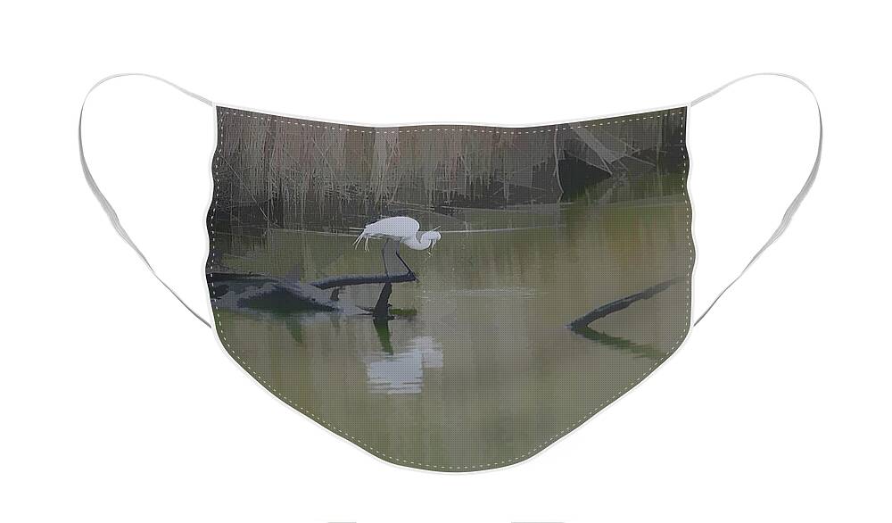 Abstract Egret Face Mask featuring the photograph Abstract Egret by Diane Giurco