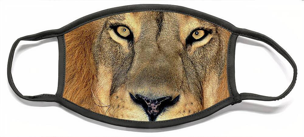 African Lion Face Mask featuring the photograph African Lion Portrait Wildlife Rescue by Dave Welling