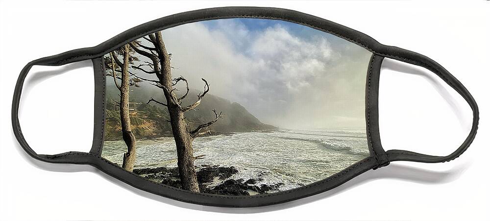 Oregon Face Mask featuring the photograph Against the Wind by Andrea Platt