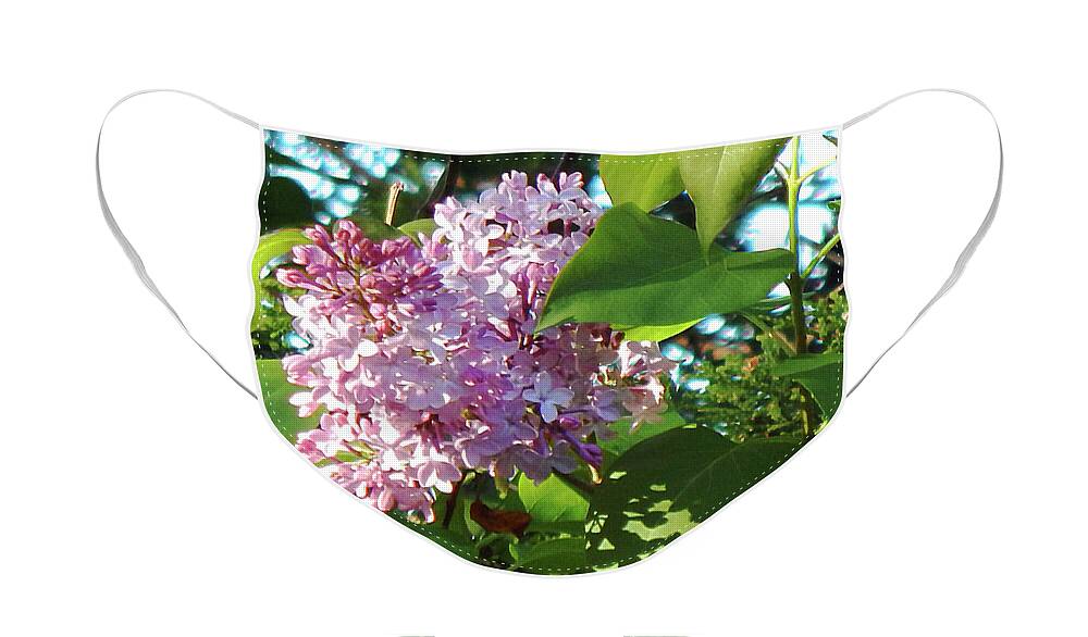Spring Face Mask featuring the photograph Always Lilacs by Wild Thing