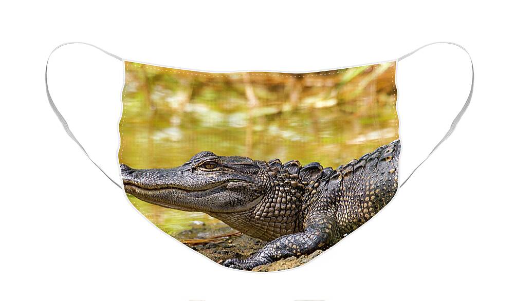 American Alligator Face Mask featuring the photograph American Alligator in Eastern North Carolina by Bob Decker