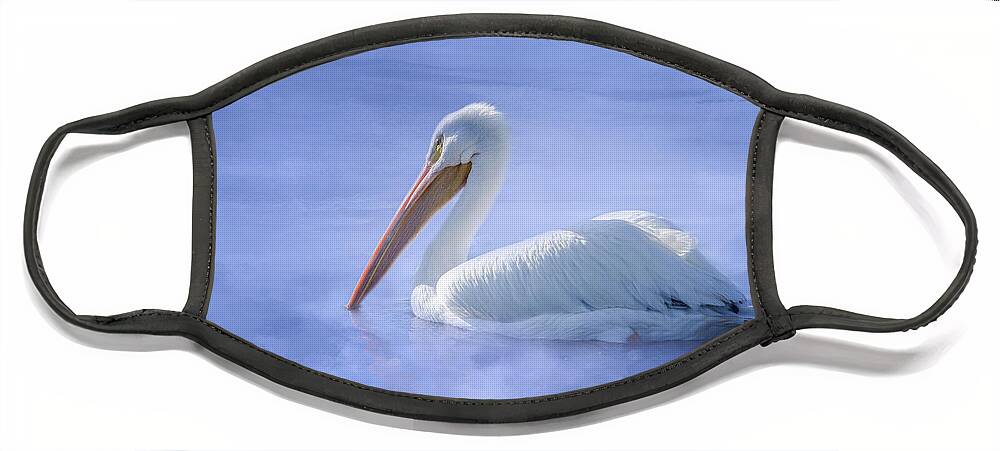 American White Pelican Face Mask featuring the photograph American White Pelican Daydreaming by Debra Martz