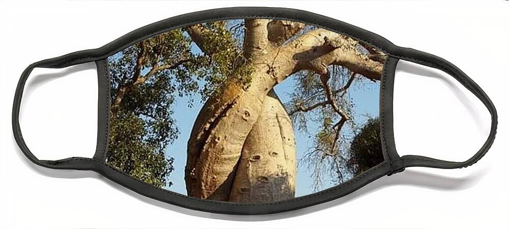 All Face Mask featuring the digital art An Old Tree in Baobab Alley in Madagascar KN8 by Art Inspirity