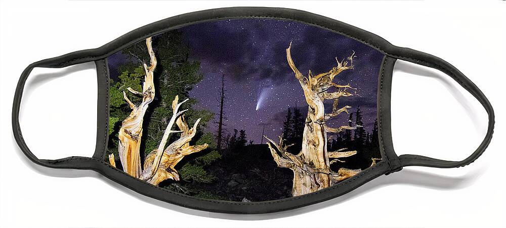 Great Basin Face Mask featuring the photograph Ancient Bristlecones and Comet Neowise by Gretchen Baker