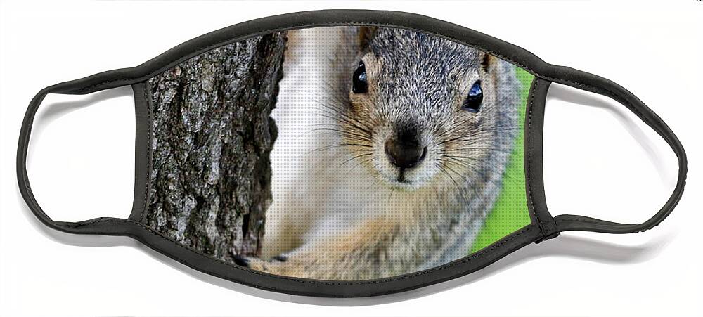 Squirrel Face Mask featuring the photograph Are you looking at me? by Gary Geddes