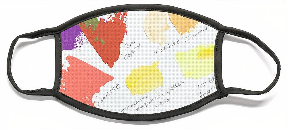 Face Mask Face Mask featuring the photograph Artist Paint Splotch by Theresa Tahara